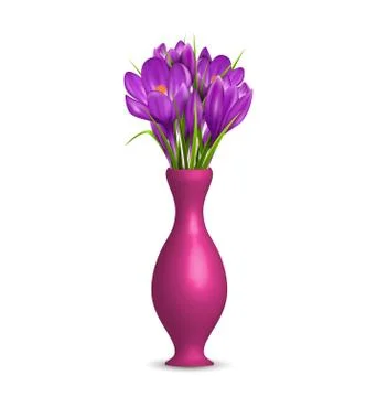 Crocuses in vase isolated on white Stock Illustration
