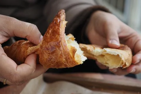Croissant is broken in hands during breakfast time Stock Photos