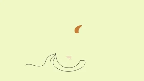 Croissant in a cup Stock Footage 313499654