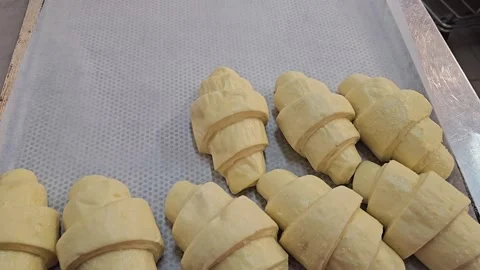 Croissant dough on a baking sheet, ready for baking. A gloved hand places more Stock Footage 311589281