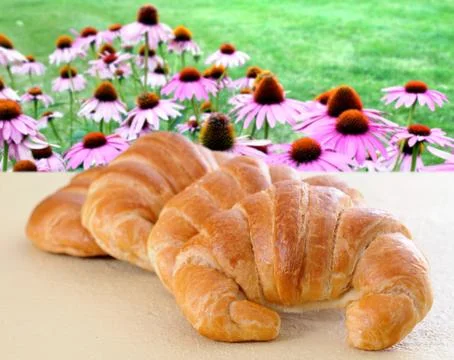Croissants Stock Photos