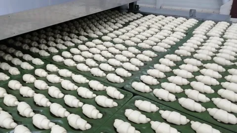 Croissants on trays Stock Footage 152529704
