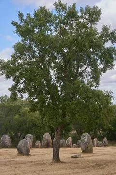 Cromlech of Almendres megalithic stone complex with cork trees in Alentejo, P Stock Photos