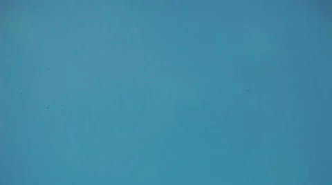 Crones of trees have gathered in the form of heart, zoom out Video stock 10687530