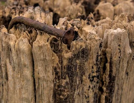 Crooked and oxidized nail in a post Stock Photos