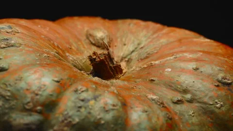 Crooked plan, macro, orange pumpkin on a black background in a turning motion Stock Footage 172544724