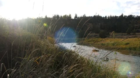 Crooked river with a touch of sun Stock Footage 132848655