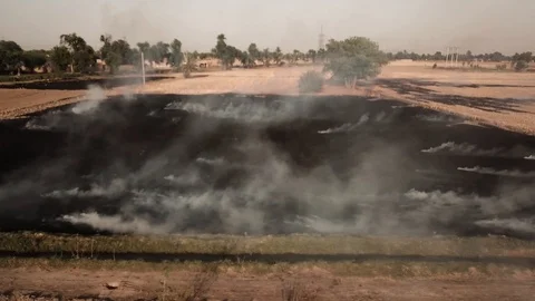 Crop burning Video stock 90679247