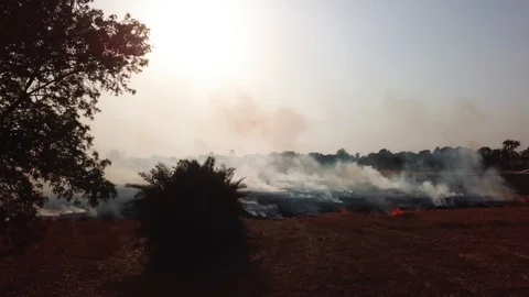 Crop Burning Stock Footage 90680263