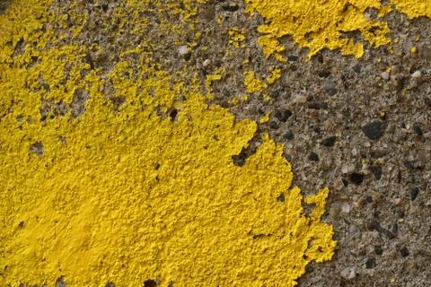 A crop of a cement wall that portrays a rough textured surface 스톡 사진