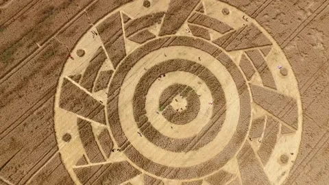 Crop Circle 2020 Stock Footage 136249873