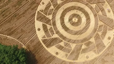 Crop Circle 2020 Stock Footage 136249931