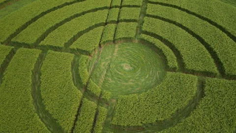 Crop Circle, 4K Close-Up Drone Clip, Roundway, Wiltshire, 11th June 2023, 4K Stock-Footage 265050708