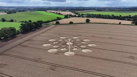 Crop Circle, 4K Drone Rising Clip, Andover, Hampshire, 25 July 2023 Stock Footage 266868248