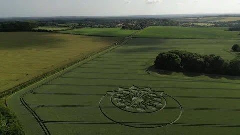 Crop Circle, 4K Drone View L to R, Warminster, 25th June 2023 Stock Footage 265084902