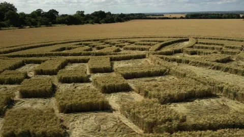 Crop Circle, 4K Drone View, Barton Stacey, Hampshire, 9th July 2023, 4K Stock Footage 265605041