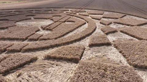 Crop Circle, 4K Drone View, Oliver's Castle, Wiltshire, 13 August 2023 4K Stock Footage 270178240