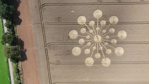 Crop Circle, 4K Overhead Drone Clip, Andover, Hampshire, 25 July 2023 Stock Footage 266940952