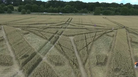 Crop Circle Aerial Video stock 11909027