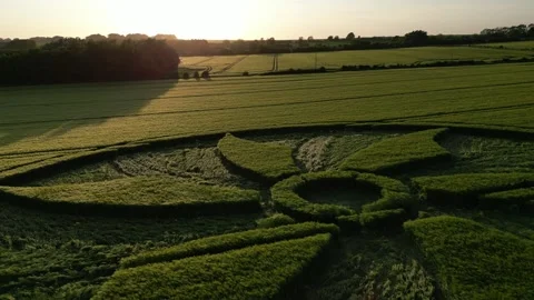 Crop Circle, Beautiful Drone Clip at Sunset, Broad Hinton, 28 May 2023, 4K Video stock 264993413
