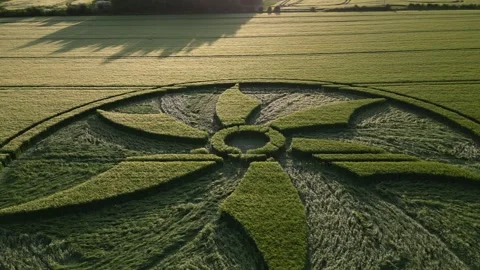 Crop Circle, Circling Close Drone Clip at Sunset, Broad Hinton, 28 May 2023, 4K Stock Footage 264992300