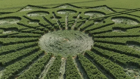 Crop Circle, Circling Close-Up Drone Clip 4K, Warminster, 25th June 2023 Video stock 265086266