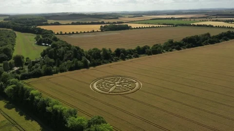 Crop Circle, Circling Drone View, Barton Stacey, Hampshire, 9th July 2023, 4K Stock Footage 265678327