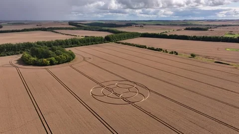 Crop Circle, Circling Drone View, Wayland's Smithy Long Barrow 4 August 2023, 4K Stock Footage 277654288