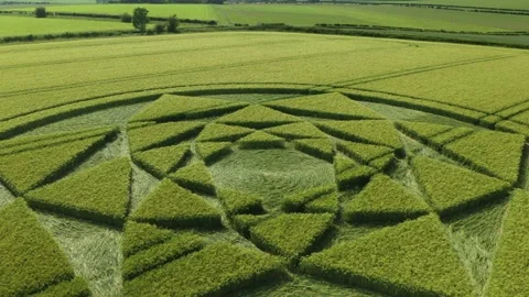 Crop Circle Close-Up Drone Clip 4K, Luggershal, Wiltshire, 14th June 2021 Stock Footage 155870464