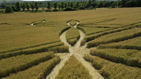 Crop Circle, Close-Up Drone Clip, Scratchbury Hill Fort, UK, 7th July 2023, 4K Video stock 265525372