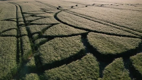 Crop Circle Close-Up Sunny Drone Clip, 7th June 2023, Potterne Wiltshire 4K Stock Footage 243289403