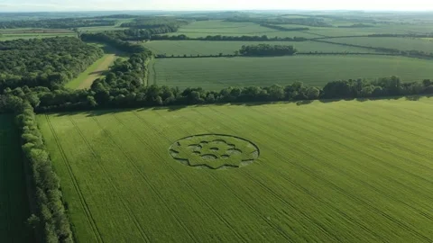 Crop Circle Drone Clip 4K, 8th June 2021, Flyover Drone Clip Stock Footage 155642662