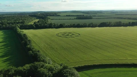 Crop Circle Drone Clip 4K, 8th June 2021, Revealing Circle Stock Footage 155644073