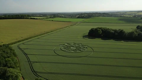 Crop Circle, Epic Drone Clip 4K, Warminster, 25th June 2023 Stock Footage 265086079