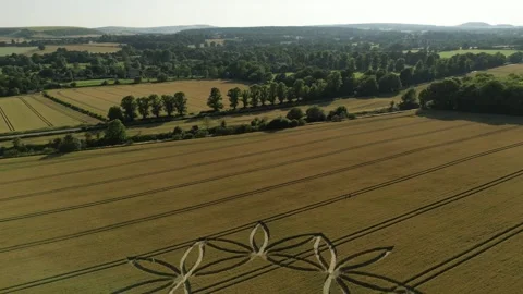 Crop Circle, Epic Drone Clip, Scratchbury Hill Fort, UK, 7th July 2023, 4K Stock Footage 265524484