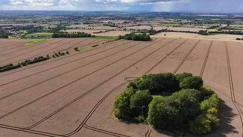 Crop Circle, Epic Drone View Wayland's Smithy Long Barrow, 4 August 2023, 4K Stock Footage 277653737