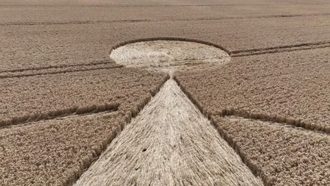 Crop Circle, Epic Drone View, Preston Candover, Hampshire, 2 August 2023, 4K Stock Footage 277655036