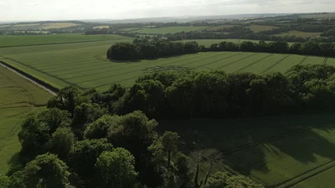 Crop Circle, Epic Wide Drone Clip 4K, Warminster, 25th June 2023 Stock Footage 265492795