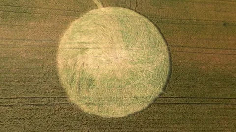 Crop Circle In A Field - Drone Shot Stock Footage 280755930