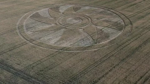 Crop Circle Видео 240294534