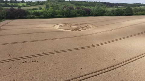 Crop Circle, Gliding Drone Clip 4K, West Meon, Hampshire, 30th July 2023 Stock Footage 267579656