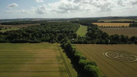 Crop Circle, Gliding Drone View, Barton Stacey, Hampshire, 9th July 2023, 4K Stock Footage 265675190