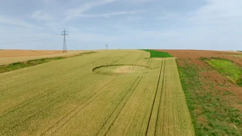 Crop Circle On Grain Crop Field - Aerial Drone Shot Stock Footage 280756137