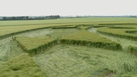 Crop Circle at Hackpen Hill UK clip 1 Видео 240294477