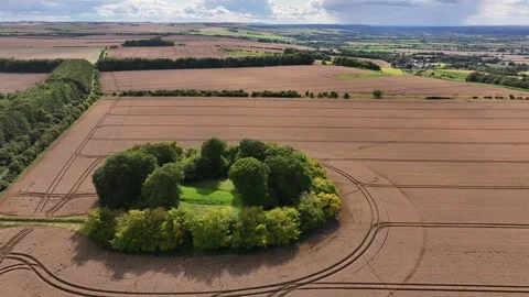 Crop Circle, L to R Drone Clip, Wayland's Smithy Long Barrow 4 August 2023, 4K Video stock 277654371