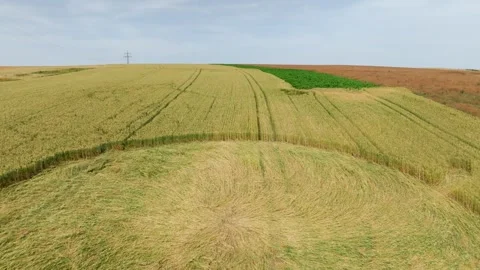 Crop Circle Pattern In Wheat Field - Aerial Pullback Stock Footage 280755899