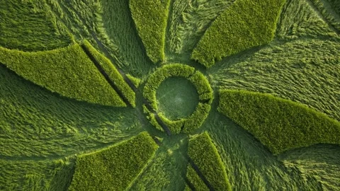 Crop Circle, Rising Drone Clip at Sunset, Broad Hinton, 28 May 2023, 4K Video stock 264992958