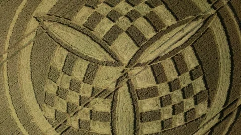 Crop Circle, Rising Drone View, Barton Stacey, Hampshire, 9th July 2023, 4K Stock Footage 265611968