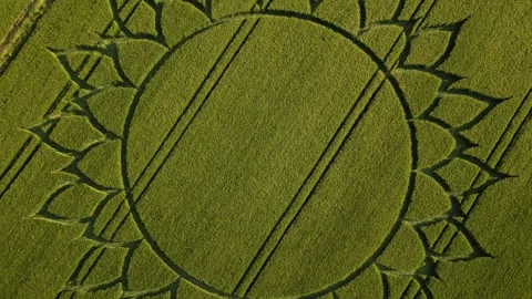 Crop Circle Rising Overhead Drone View, 7th June 2023, Potterne Wiltshire 4K Stock Footage 243243117