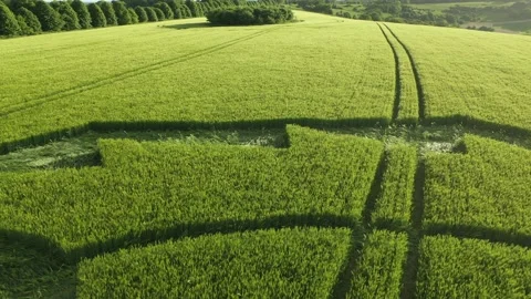 Crop Circle Rising Pull-Back Drone, Sunset 22 May 2022, Hippenscombe, Wilts, 4K Stock Footage 200916162